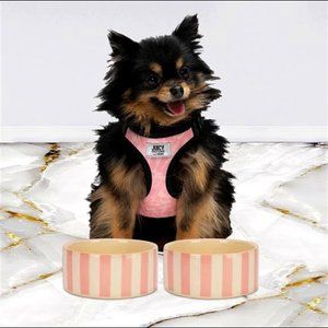 Juicy Couture Dog Bowl Set – 2 Piece 16oz Ceramic Pink And White Stripes
